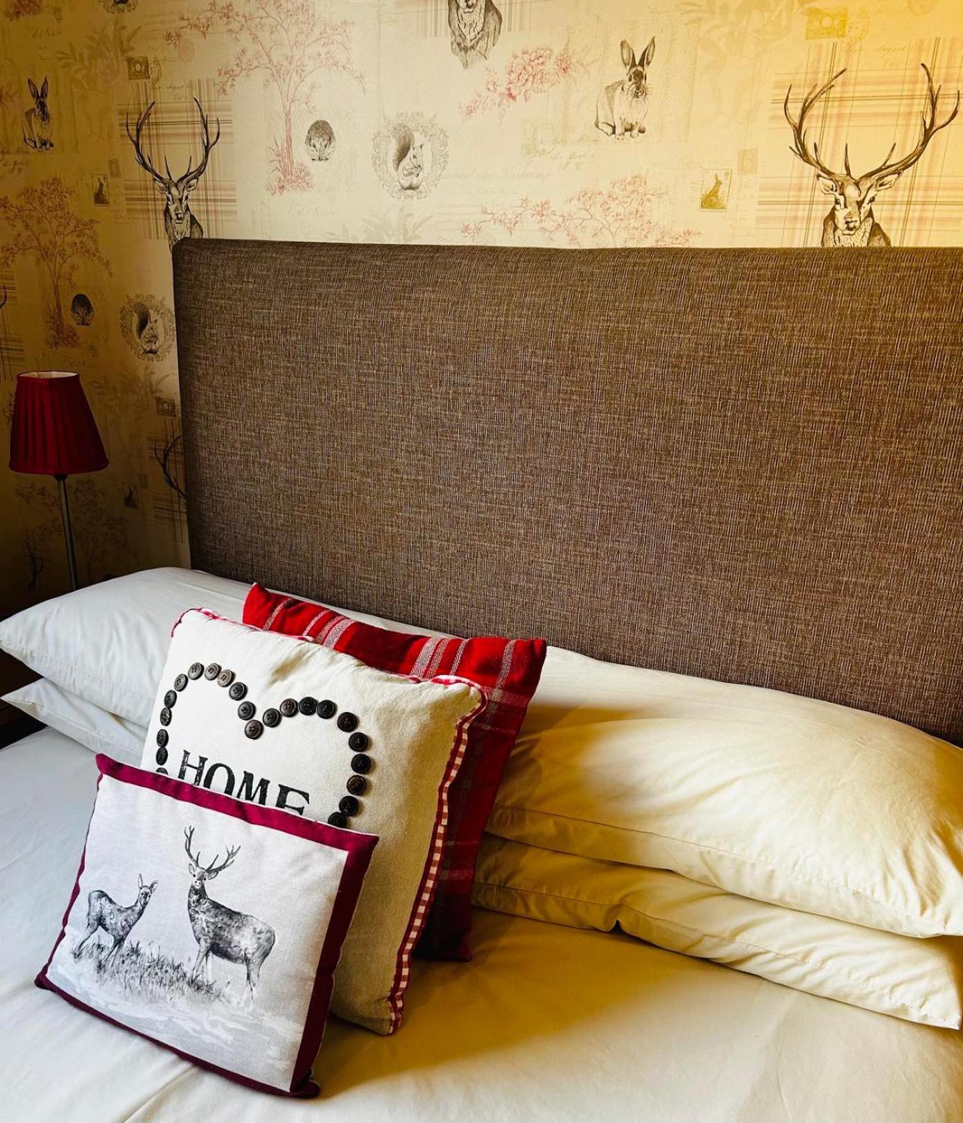 אבימור Dunroamin Bed And Breakfast מראה חיצוני תמונה